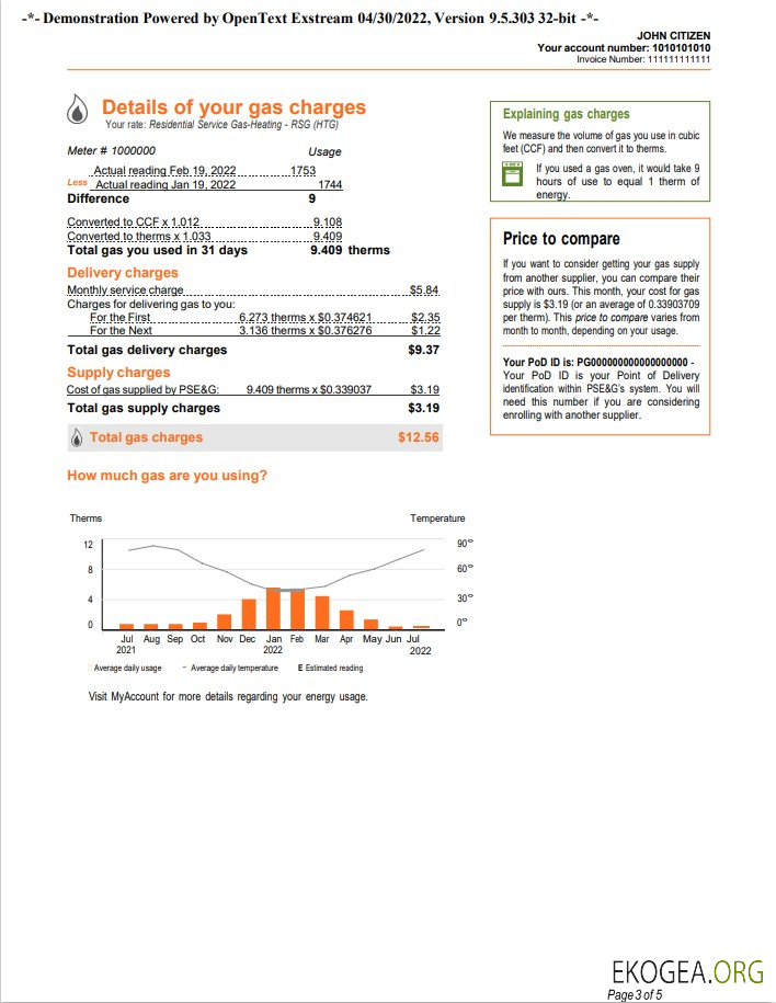 USA New York PSEG utility bill, Word and PDF template, 5 pages 3